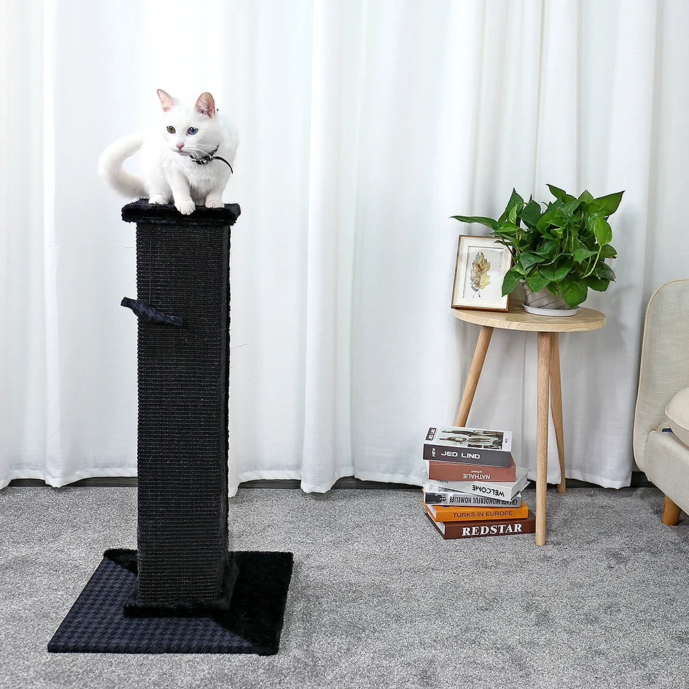 H82cm Pet Cat Tree Scratching Post for Indoor Plush Top Perch Stable Durable with Ball Black Natural Sisal Protecting Furniture