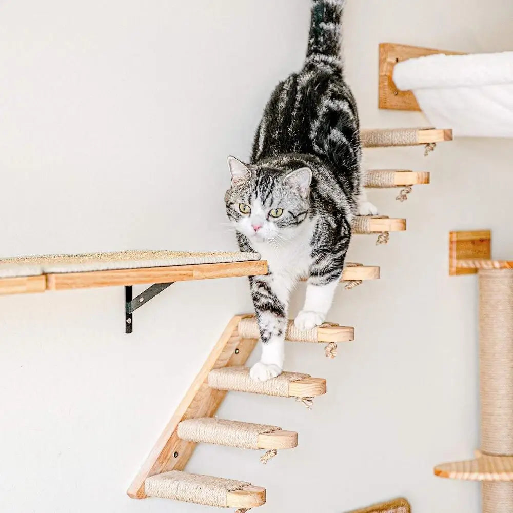 Cat Wall Climbing Frame Wall Mounted Cat Tree Furniture Wooden Stairway Shelves for Cats Perches Activity Cat Scratching Post