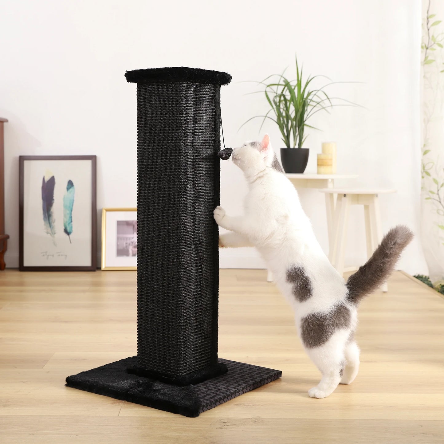 H82cm Pet Cat Tree Scratching Post for Indoor Plush Top Perch Stable Durable with Ball Black Natural Sisal Protecting Furniture