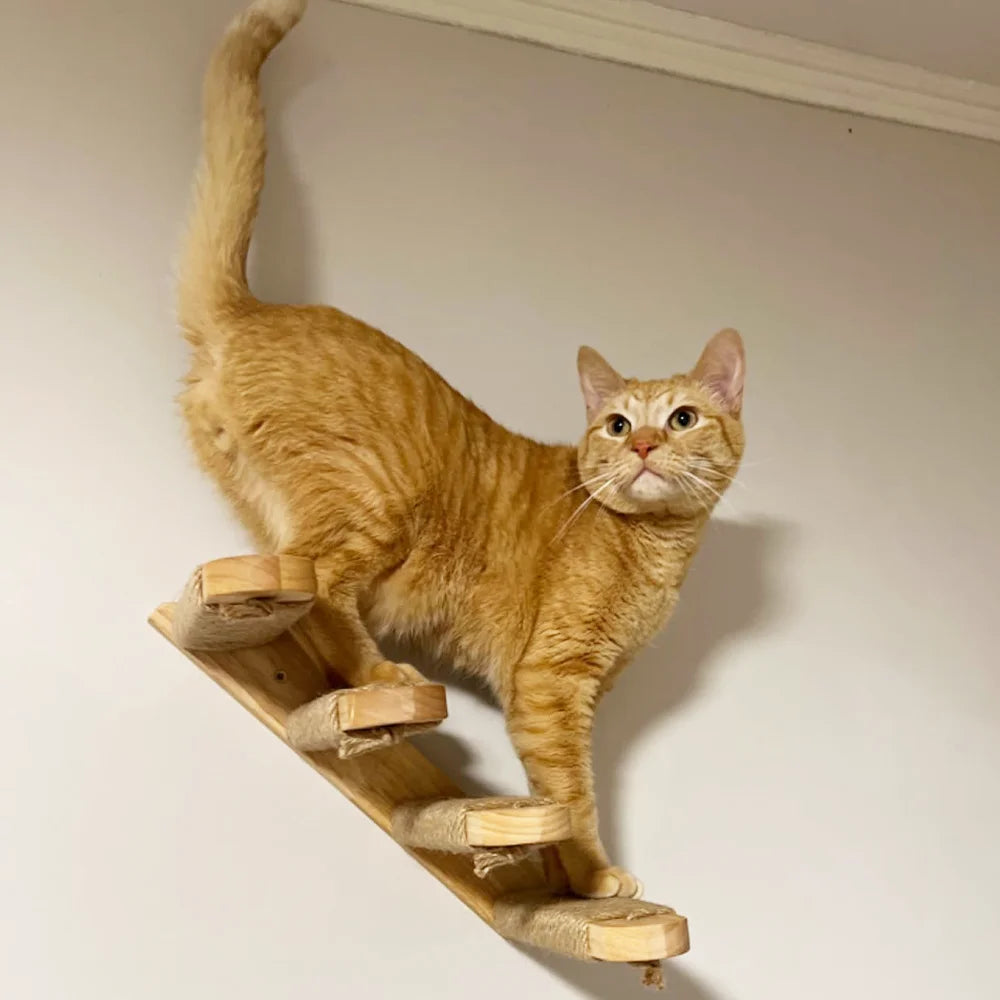 Wall Mounted Cat Shelves and Four Steps Ladder Wall Wooden Sisal Bed Hammock Jumping Platform for Cat Playing and Sleeping